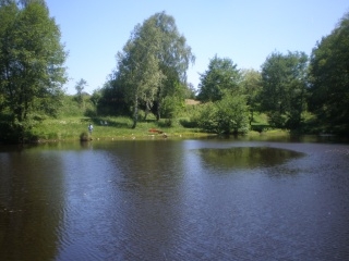 Bottom Lake - BIG CARP and variety of other species