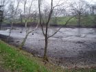 We drained the Top Lake in the Spring of 2009. We cleared the lake bed of debri and obstructions and subsequently weighed and measured each fish before we re-introduced them to the lake.