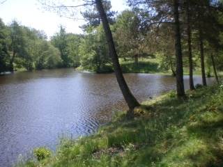 Top Lake stocked exclusively with BIG CARP